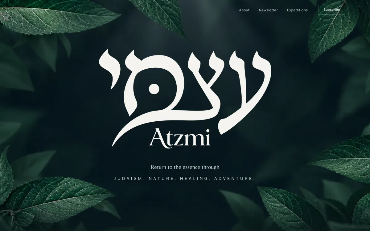 Atzmi website